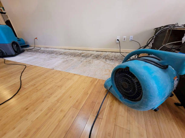 Professional Basement Flood Cleanup technician working in Hempstead, TX